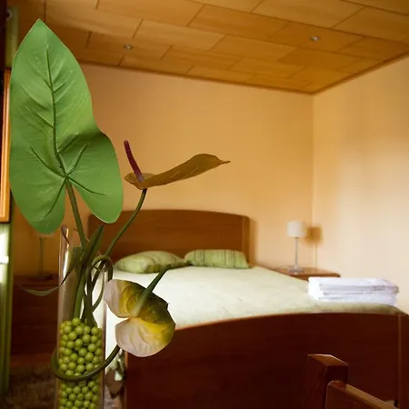 Vendégház Casa Do Telheiro