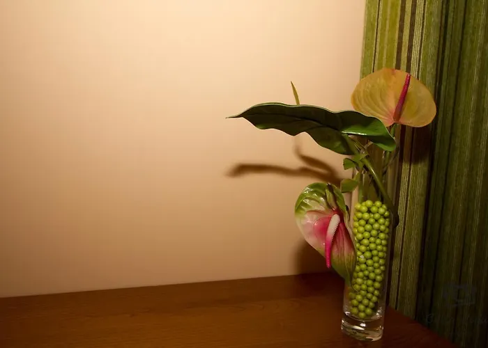 Casa Do Telheiro Casa de hóspedes Sabugueiro (Guarda)